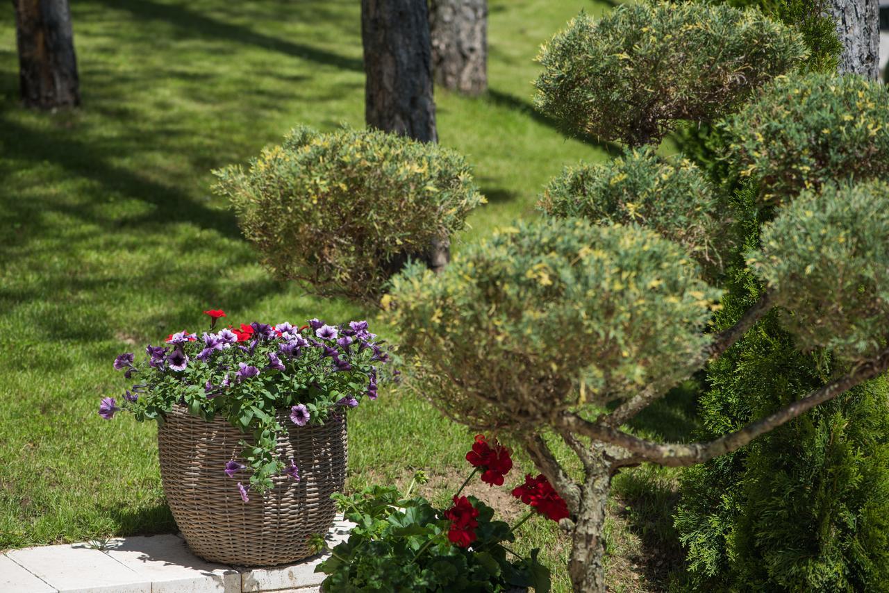 Mons 4* Zlatibor